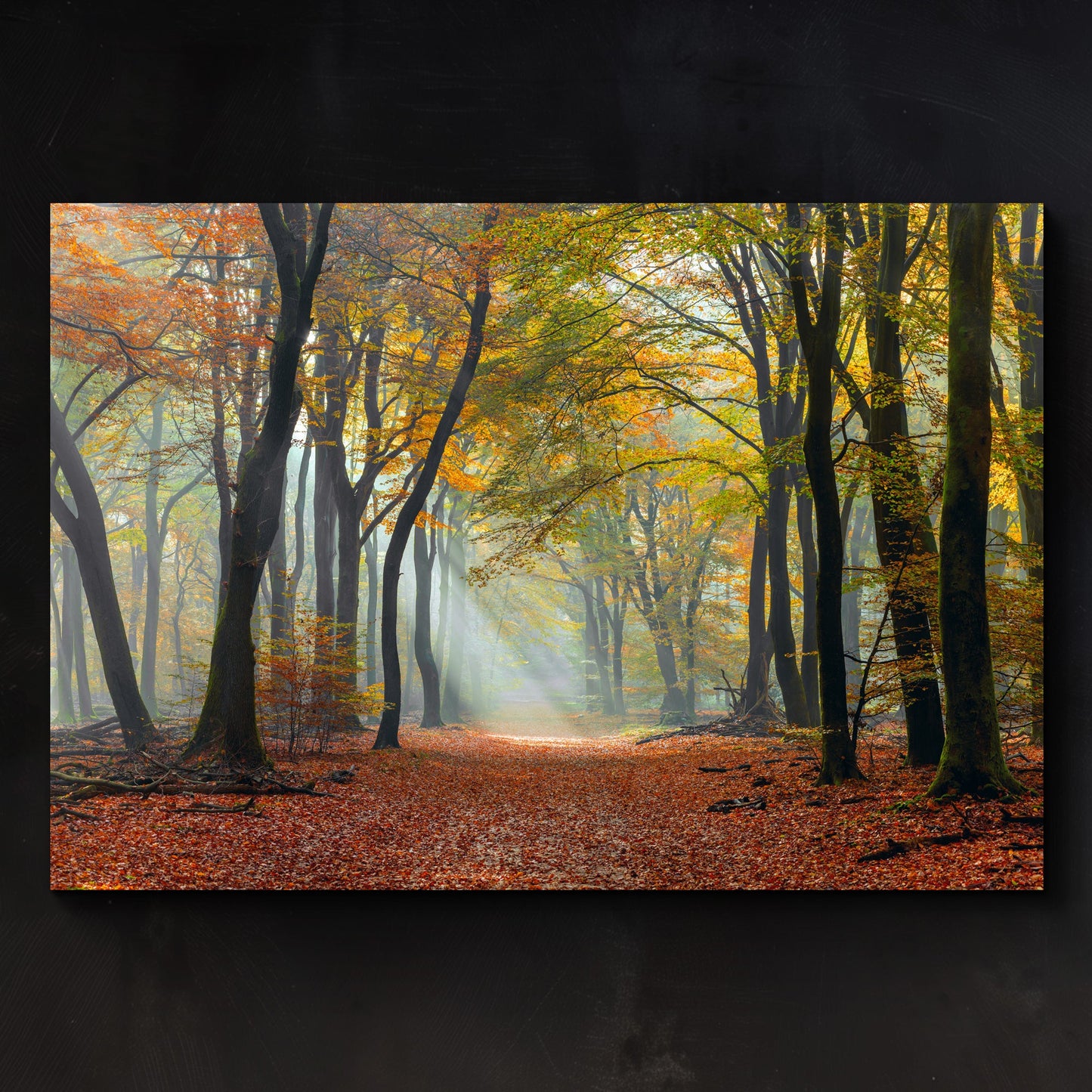 Mystic Pathway