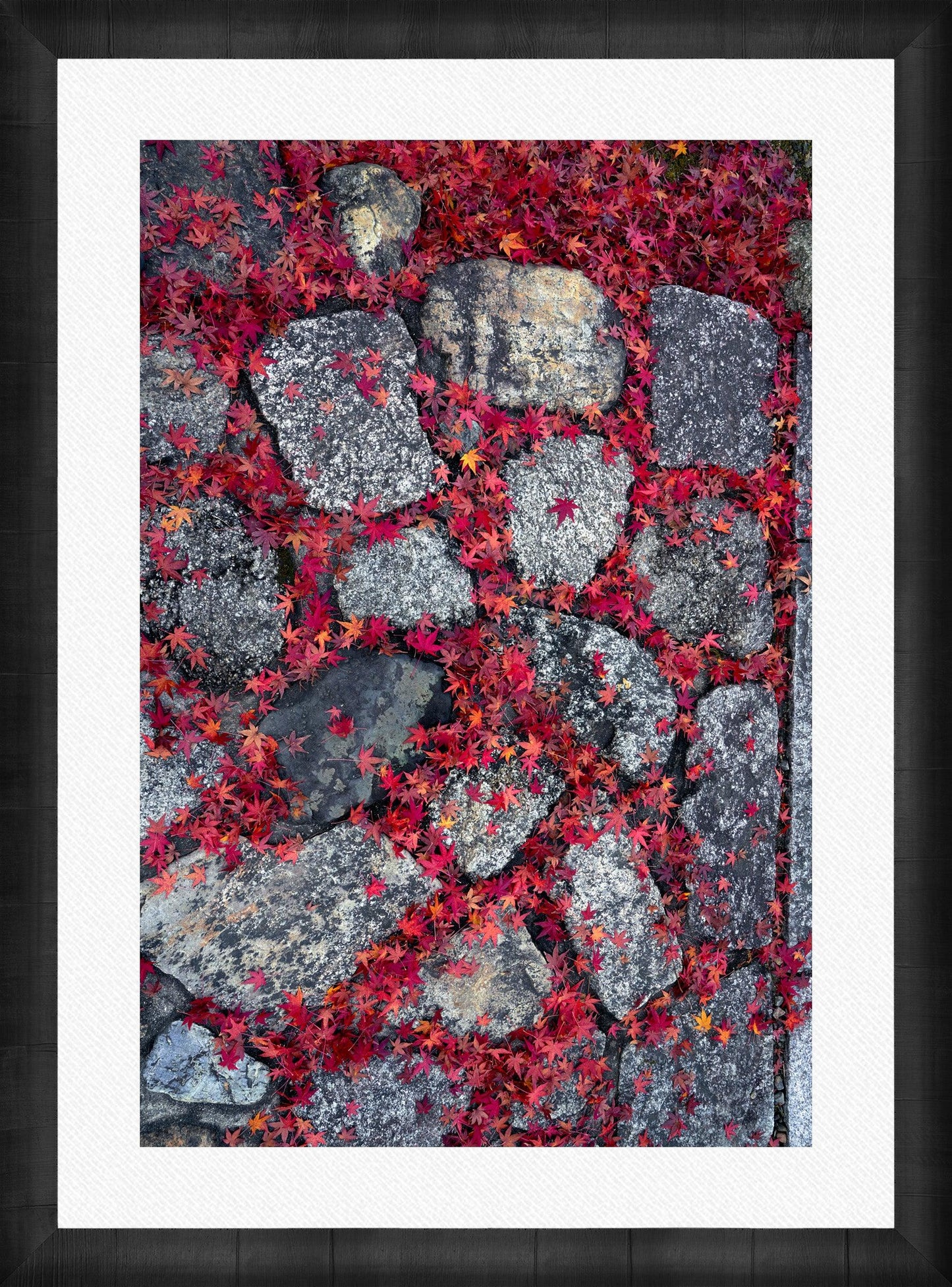 Scarlet Pathway