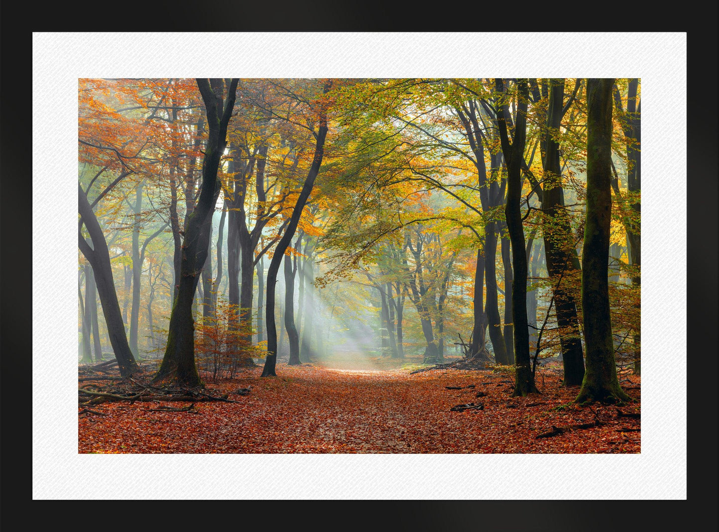 Mystic Pathway