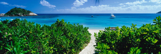 Pathway to Paradise