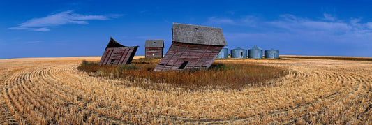 Prairie Summer