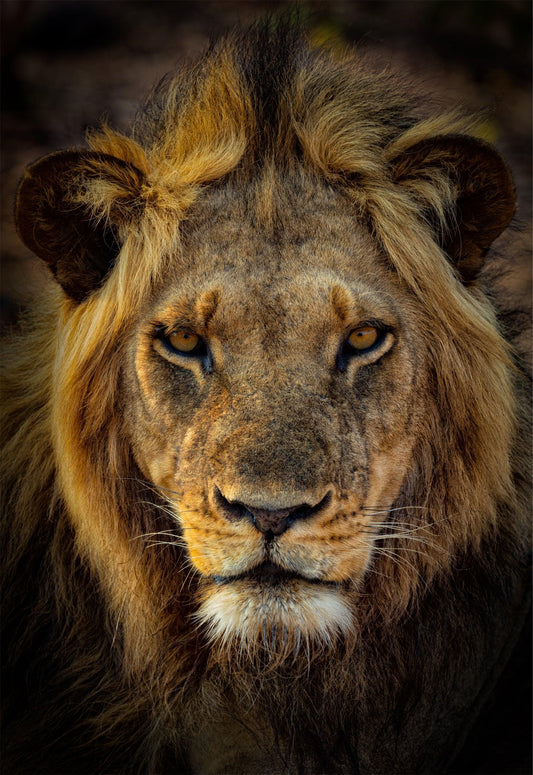 Pride