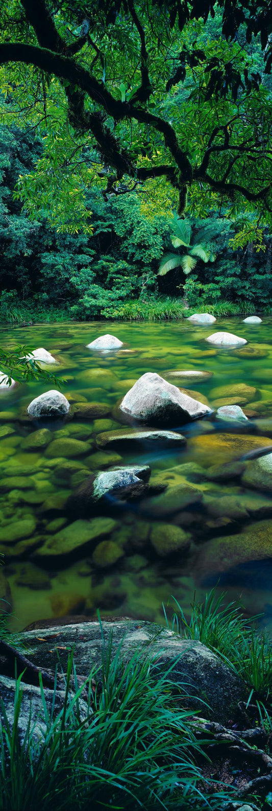 Pristine Waters