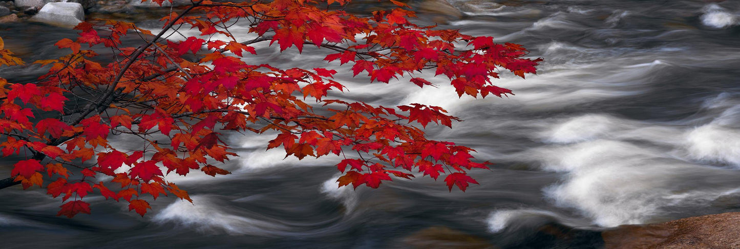 River of Zen