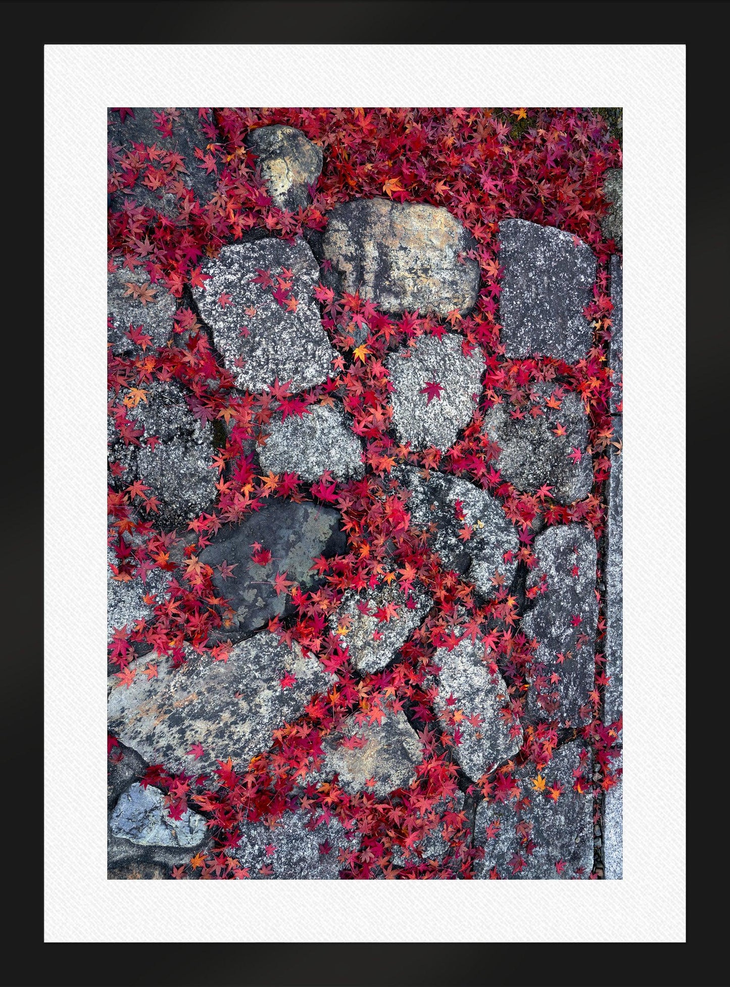 Scarlet Pathway