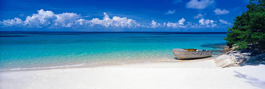 Secret Shores