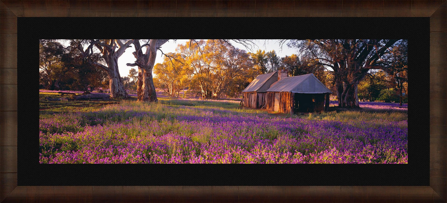 Settlers Meadow