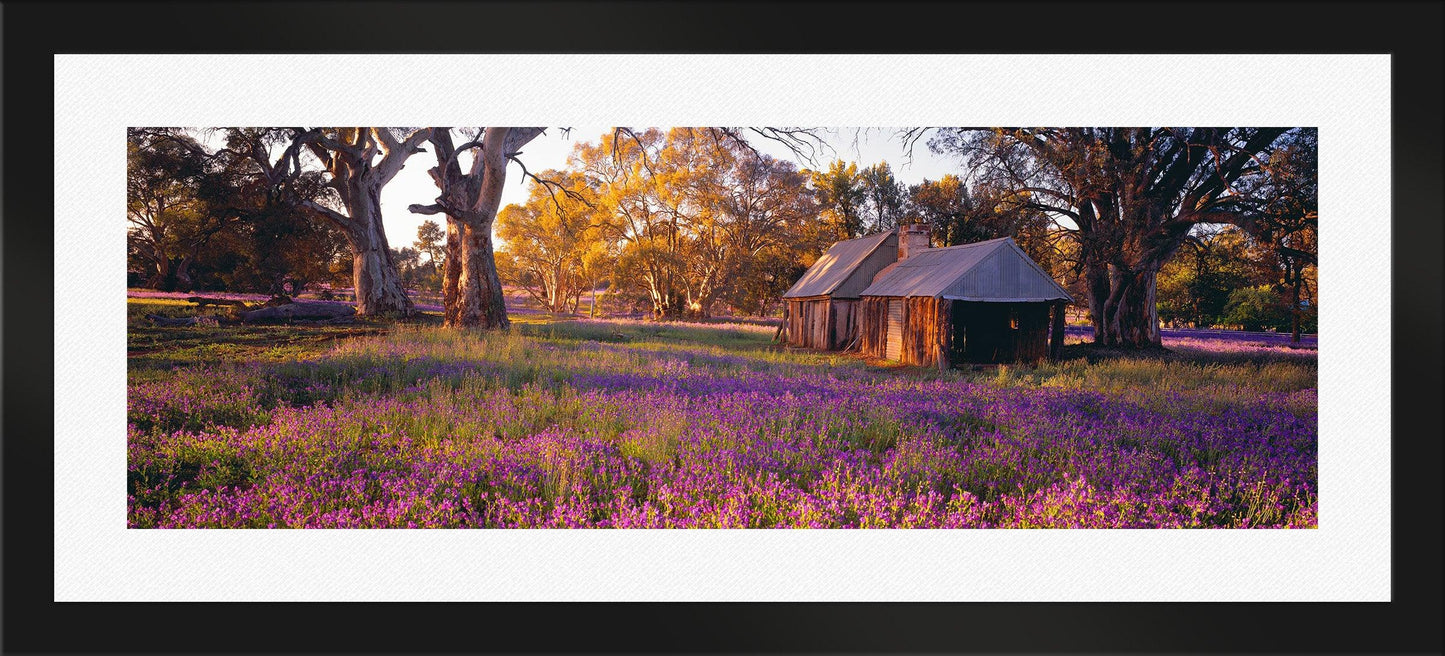 Settlers Meadow