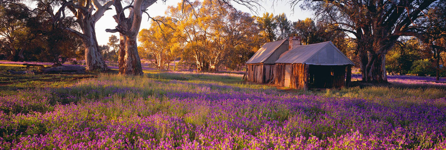 Settlers Meadow