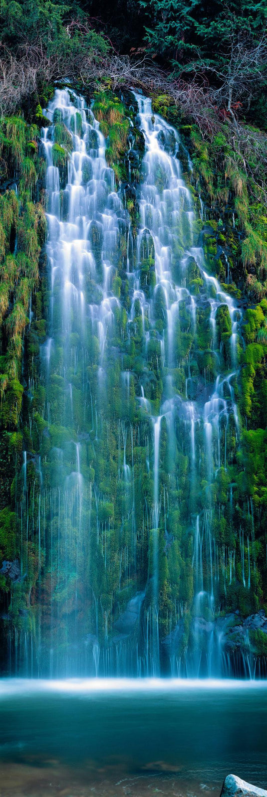 Sierra Cascades